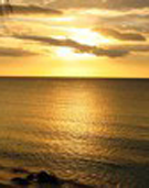 Yellow Sunset1 Blake J. Schael