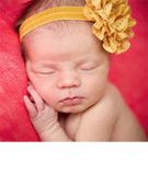 Zernia Gianna Obit Photo1 Gianna Kristine Zernia