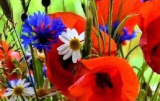 Fb Img 1581502248731 Fb Img 1581502248731