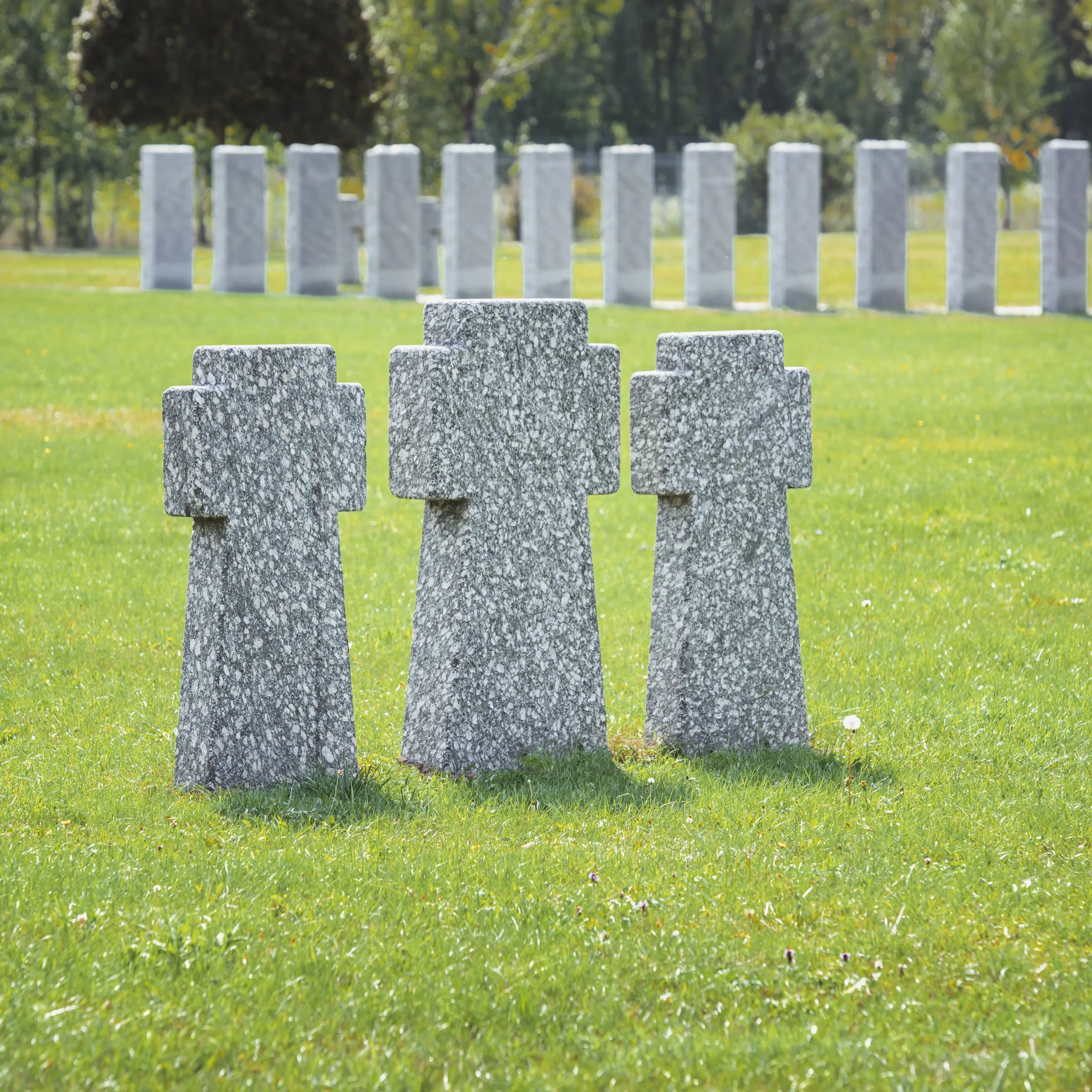 gravestones placed in row on grass at cemetery