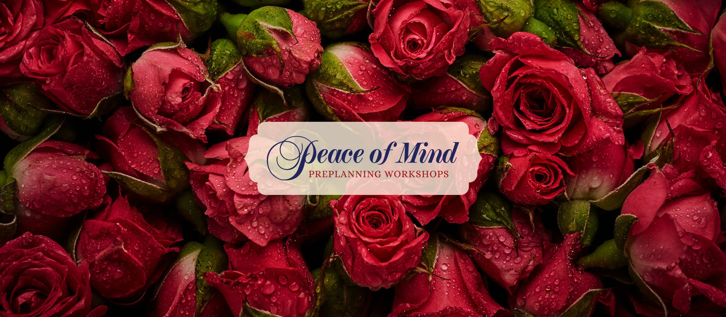 Peaceofmind Featured