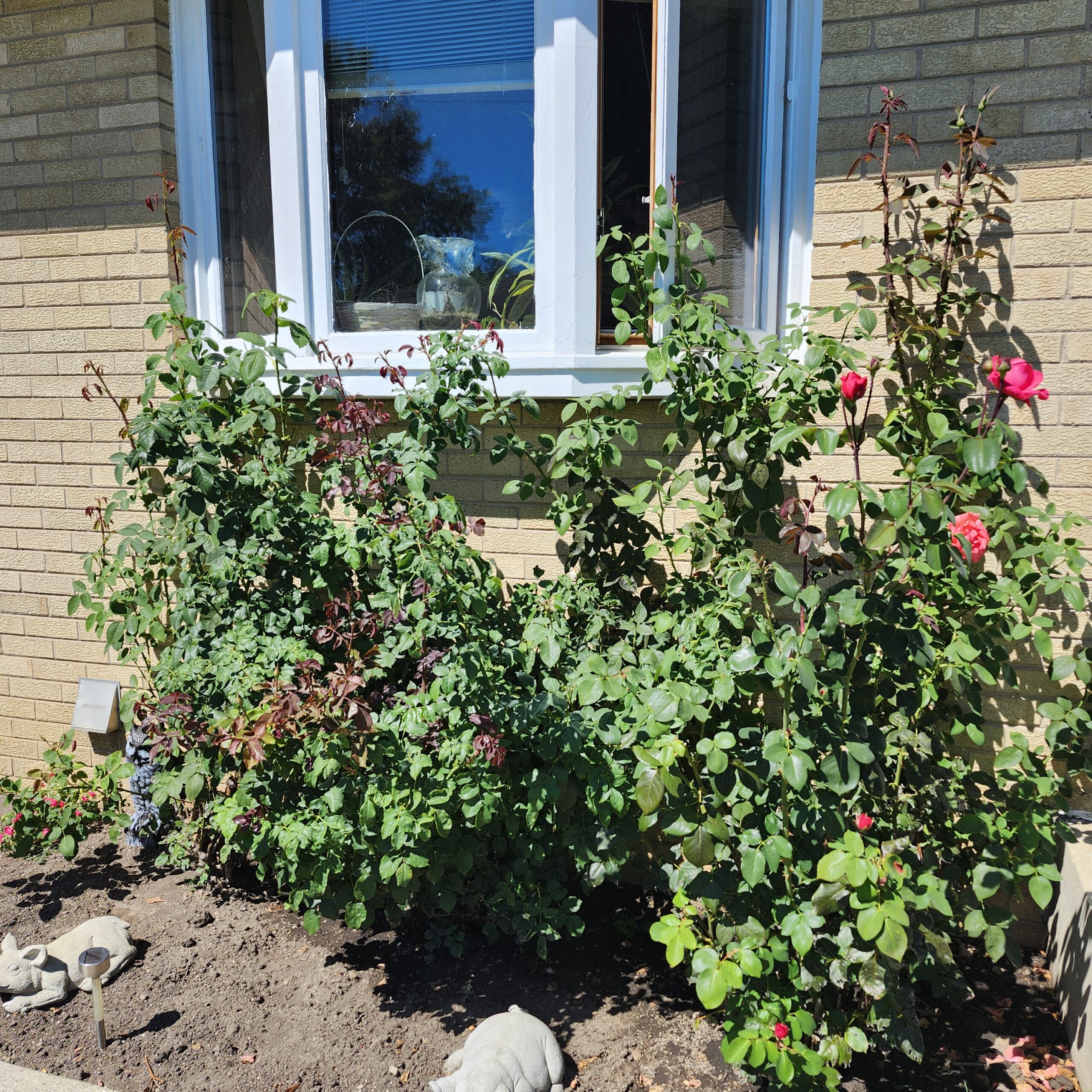 1000009879 1000009879