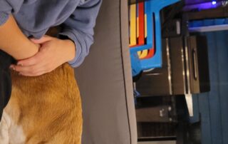 1000000196 1000000196