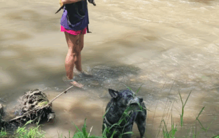 1000000669 1000000669